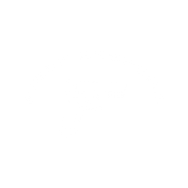 Pistol White Logo