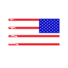 Rev Raw Color Flag Logo