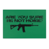 ARE YOU SURE GREEN RUG
