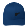 flex fit cap AR flex fit cap AR